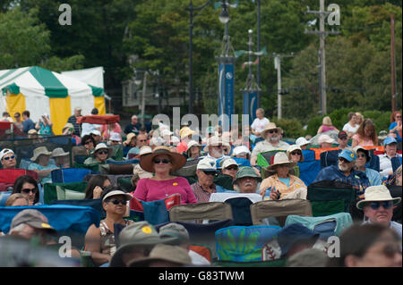 Pubblico godendo la musica al 2015 American Folk Festival, Bangor, ME Foto Stock