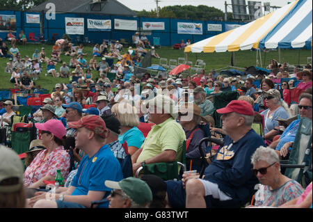 Pubblico godendo la musica al 2015 American Folk Festival, Bangor, ME Foto Stock