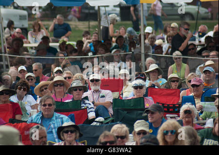 Pubblico godendo la musica al 2015 American Folk Festival, Bangor, ME Foto Stock