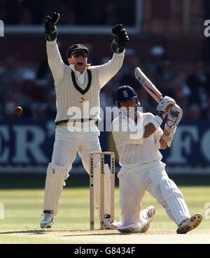 Cricket. Trofeo Texaco 3° giorno Internazionale. Inghilterra / Australia. Ian Healey, Australia e Inghilterra Alec Stewart Foto Stock