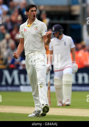 Il bowler australiano Mitchell Starc celebra l'intrappolamento dell'Inghilterra del battitore Ian Bell LBW durante il primo Investec Ashes Test allo stadio SWALEC di Cardiff. Foto Stock