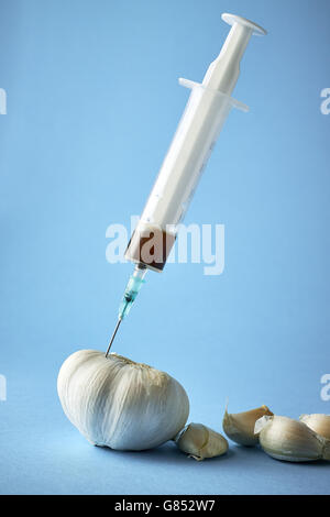 Iniezione con ago in aglio su sfondo blu. Concetto di immagine per geneticamente modificato l'aglio. Spazio di copia Foto Stock