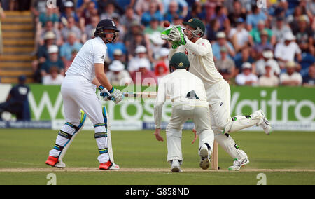 Cricket - First Investec Ashes Test - Inghilterra / Australia - Day Three - SWALEC Stadium. Il Jos Buttler dell'Inghilterra è catturato dal Brad Haddin australiano per 7 durante il primo Investec Ashes Test allo Stadio SWALEC di Cardiff. Foto Stock