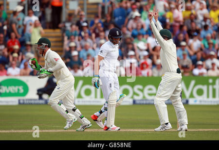 L'inglese Jos Buttler è catturato dal brad Haddin australiano per 7 durante il primo Investec Ashes Test allo stadio SWALEC di Cardiff. Foto Stock