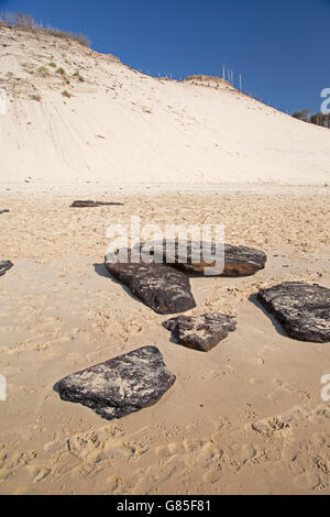 Resti di alberi morti sulla spiaggia sabbiosa con pini morti sepolti dalla Grande Duna del Pyla sullo sfondo della Francia meridionale Foto Stock