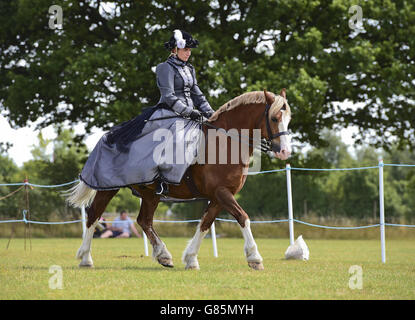 Essex Heavy Horse Show - Londra Foto Stock