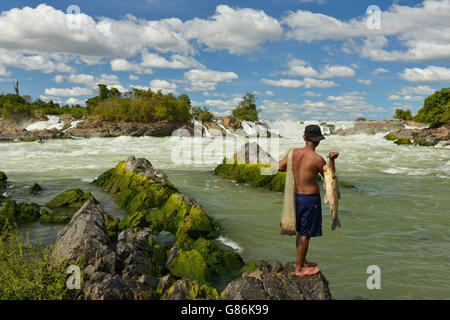 L'uomo la pesca, Khone Phapheng cade, Laos Foto Stock