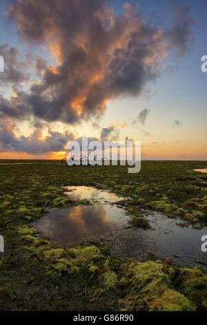 Barca sulla spiaggia di Sanur, Bali, Indonesia Foto Stock