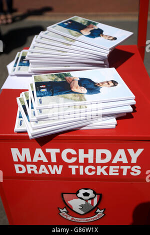 Calcio - Barclays Premier League - Bournemouth v Aston Villa - Vitalità Stadium Foto Stock