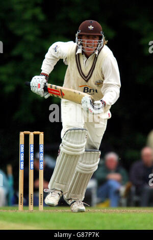 Cricket - Cheltenham & Gloucester Trophy - Primo round - Staffordshire v Surrey - Porri Foto Stock