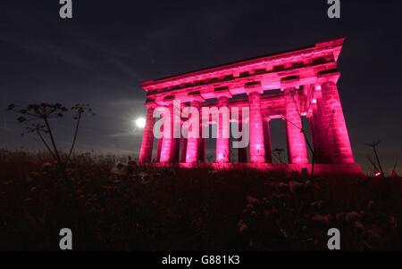 Monumento Penshaw Foto Stock