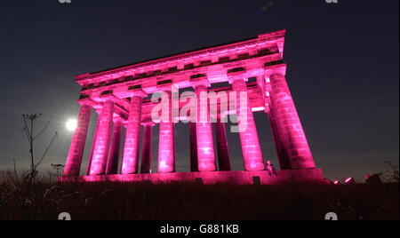 Monumento Penshaw Foto Stock