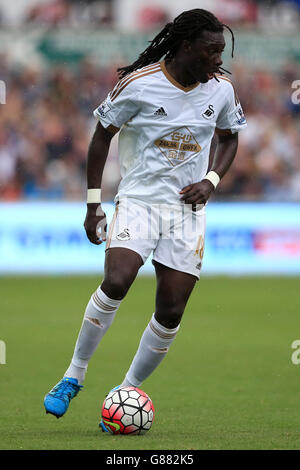 Calcio - Barclays Premier League - Swansea City / Manchester United - Liberty Stadium. Il Bafetimbi Gomis di Swansea City durante la partita della Barclays Premier League al Liberty Stadium di Swansea. Foto Stock