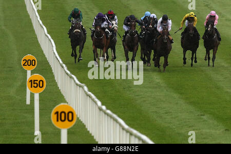 Corridori e cavalieri durante i Moyglare Jewels Blandford Stakes durante il giorno due del Longines Irish Champions Weekend all'ippodromo di Curragh, in Irlanda. Foto Stock