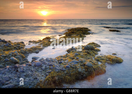 Le alghe coperto rocce al tramonto, Kuala Penyu beach, Sabah Borneo Foto Stock