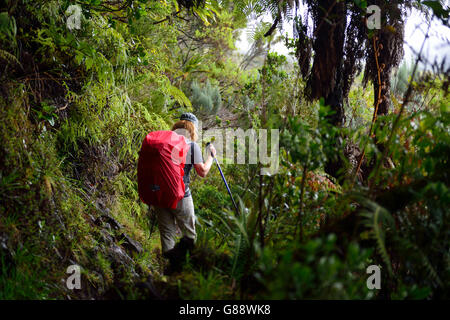 Trekking da La Plaine des Cafres Il Gîte de la Caverne Dufour al Piton du Neige, La Reunion, Francia Foto Stock