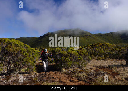 Trekking da La Plaine des Cafres Il Gîte de la Caverne Dufour al Piton du Neige, La Reunion, Francia Foto Stock