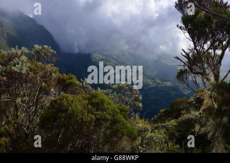 Trekking da La Plaine des Cafres Il Gîte de la Caverne Dufour al Piton du Neige, La Reunion, Francia Foto Stock