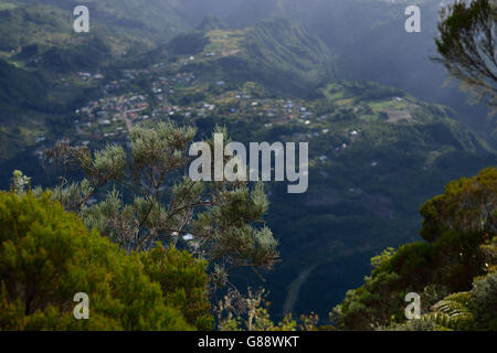 Trekking da La Plaine des Cafres Il Gîte de la Caverne Dufour al Piton du Neige, La Reunion, Francia Foto Stock