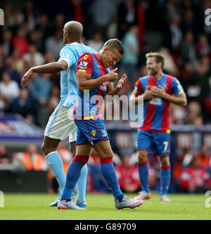 Calcio - Barclays Premier League - Crystal Palace v Manchester City - Selhurst Park Foto Stock