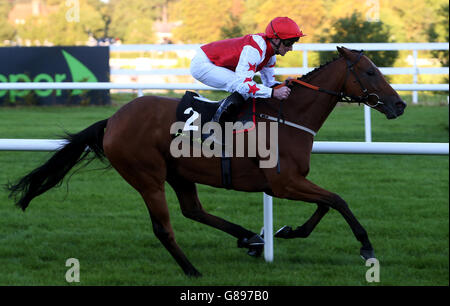 Custom Cut guidato da Daniel Tudhope sulla strada per vincere la Clipper Logistics Boomerang Stakes durante il giorno uno del Longines Irish Champions Weekend a Leopardstown, Dublino, Irlanda. Foto Stock