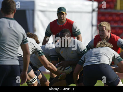 Rugby Union - Coppa del mondo di Rugby 2015 - sessione di allenamento in Sudafrica - Stadio Internazionale di Gateshead. Tendai Mtawarira in Sudafrica durante una sessione di allenamento allo stadio internazionale Gateshead di Newcastle. Foto Stock