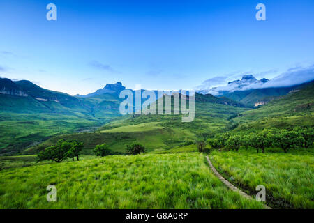 Sentiero escursionistico, anfiteatro in background, Royal Natal National Park, Drakensberg, Kwazulu Natal, Sud Africa Foto Stock