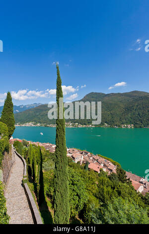 Vista su Morcote verso il lago di Lugano, cipresso (Cupressus), il Lago di Lugano, Ticino, Svizzera, Europa Foto Stock