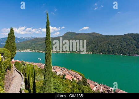 Vista su Morcote verso il lago di Lugano, cipresso (Cupressus), il Lago di Lugano, Ticino, Svizzera, Europa Foto Stock