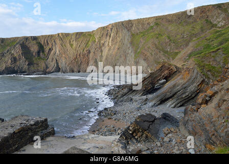 Ripiegate strati di roccia di ampia spiaggia, Hartland Quay, Bideford, Devon Foto Stock