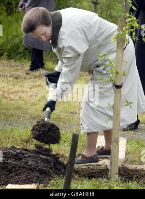 La Principessa reale durante una visita al Bosco di Clements del Woodland Trust, vicino a Larne in Co Antrim. Il primo giorno di una visita di due giorni alla provincia, la Principessa reale ha partecipato ad una speciale cerimonia di piantagione di alberi in memoria della Regina Madre piantando la segagione finale di quercia nel 'Royal Oak Grove'. Foto Stock