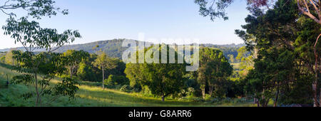 Vista panoramica della Wilson River Valley, vicino federale, NSW, Australia. Foto Stock