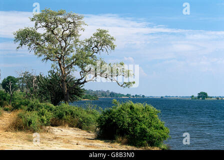 Il Botswana, Chobe view Foto Stock