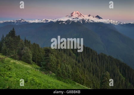 Mount Baker visto da prato pendici della montagna della Chiesa, il Monte Baker deserto North Cascades Washington Foto Stock