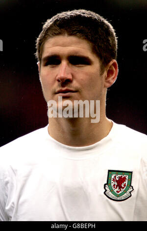 Calcio - International friendly - Galles / Ungheria - Millennium Stadium. Carl Robinson, Galles Foto Stock