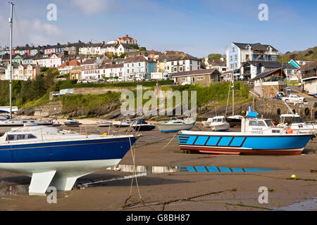 Regno Unito, Galles Ceredigion, New Quay, barche nel porto di bassa marea Foto Stock