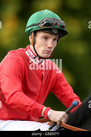 Horse Racing - Nottingham Racecourse Foto Stock