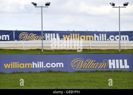 Il Greyhound Racing - Sunderland Greyhound Stadium Foto Stock