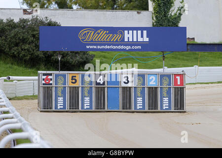 Greyhound Racing - Stadio Sunderland Greyhound. Una visione generale di William Hill marcare a caldo le trappole di partenza Foto Stock