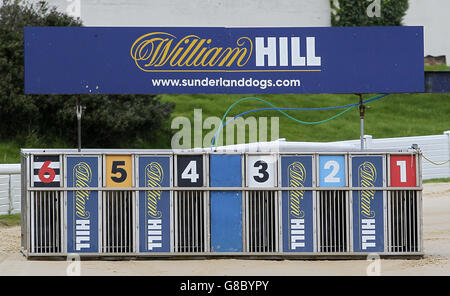 Greyhound Racing - Stadio Sunderland Greyhound. Una visione generale di William Hill marcare a caldo le trappole di partenza Foto Stock