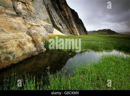 Huab River, Skeleton Coast, Namibia. Foto Stock