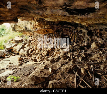 Culturale antico rimane nella grotta Venda, Sud Africa. Foto Stock