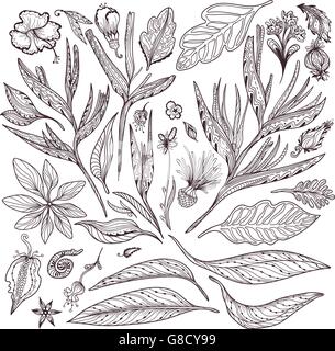 Raccolta di thai indiano di foglie e fiori in sketch outline stile doodle su sfondo bianco Illustrazione Vettoriale