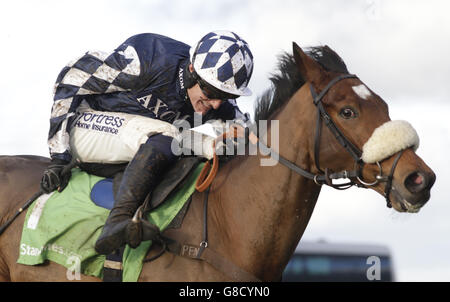 Corse di cavalli - Badger Ales Day - Ippodromo di Wincanton. Irving guidato da NCK Schollfield vince la corsa Elite Huddle Race del StanJames.com all'ippodromo di Wincanton. Foto: Julian Herbert Foto Stock