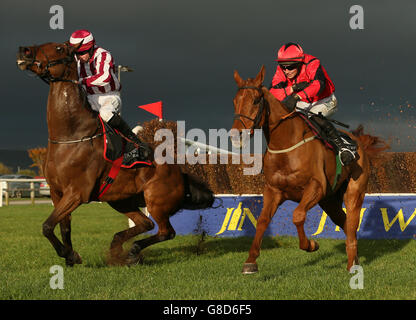 Horse Racing - 2015 Irlanda del Nord Festival di Racing - Giorno 1 - All Ippodromo Royal Foto Stock