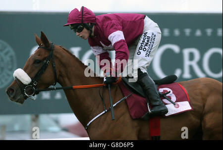 Tombstone guidato da Nina Carberry vince il Killyhevlin Hotel Flat Race durante il giorno uno del Festival of Racing 2015 dell'Irlanda del Nord presso il Down Royal Racecourse, Lisburn, County Down. Foto Stock