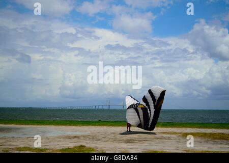 Extreme kite surfer ripiegare il suo kite a fort de soto con il sunshine skyway bridge in background su un nuvoloso giorno ventoso in Florida. Foto Stock