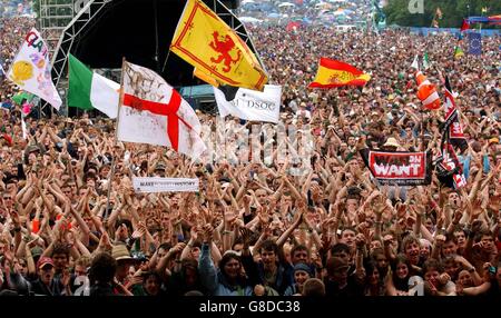 Glastonbury Festival 2005 - Azienda agricola degna Foto Stock