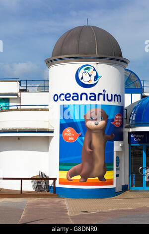 Oceanarium l'acquario di Bournemouth a Pier Approach, Bournemouth, Dorset, Regno Unito nel mese di giugno Foto Stock