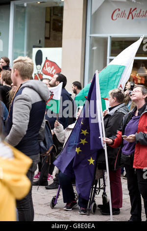 Cardiff, Regno Unito. Il 28 giugno, 2014. Cardiff come una città si riunisce per celebrare l'Europa dopo gli episodi di razzismo a seguito del referendum UE e brexit. Altoparlanti inclusi Plaid Cymru leader Leanne legno. Credito: Amonochromedream.com/Alamy Live News Foto Stock